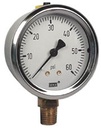 213.53 Series Industrial Brass Liquid Filled Pressure Gauge, 2.5" Dial, 0 to 60 PSI, 1/4" NPT Lower Mount