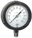 232.34 Series Stainless Steel Dry Process Gauge, 0 to 60 psi