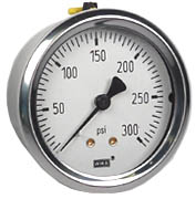 212.53 Series Industrial Brass Dry Pressure Gauge, 0 to 300 psi