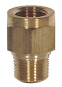 Ray Porous Snubber 1/4" NPT Brass (Light Oil, Water)