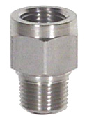 Ray Porous Snubber 1/4" NPT Stainless (Light Oil, Water)