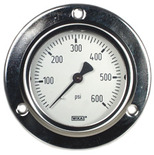 212.53 Series Ready to Fill Pressure Gauge, 2.5" Dial, 0 to 600 psi, 1/4 NPT Brass, Back Mount, Front Flange