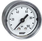 111.12 Series Brass Dry Pressure Gauge, 0 to 100 psi