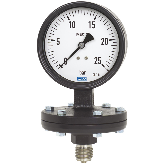 4xx.12 Series 4" or 6" Cast Iron Diaphragm Pressure Gauge, Dry/Fillable, SS or Carbon Steel Wetted Parts