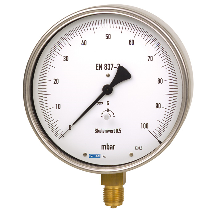 6x0.20 Series 6" SS Dry Capsule Test Pressure Gauge, Brass or SS Wetted Parts