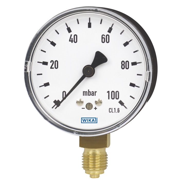 631.10 Series 2" or 2.5" Plastic or SS Dry Low Pressure Capsule Gauge, SS Wetted Parts